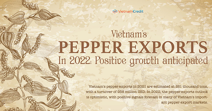 Vietnam’s pepper exports in 2022: Positive growth anticipated